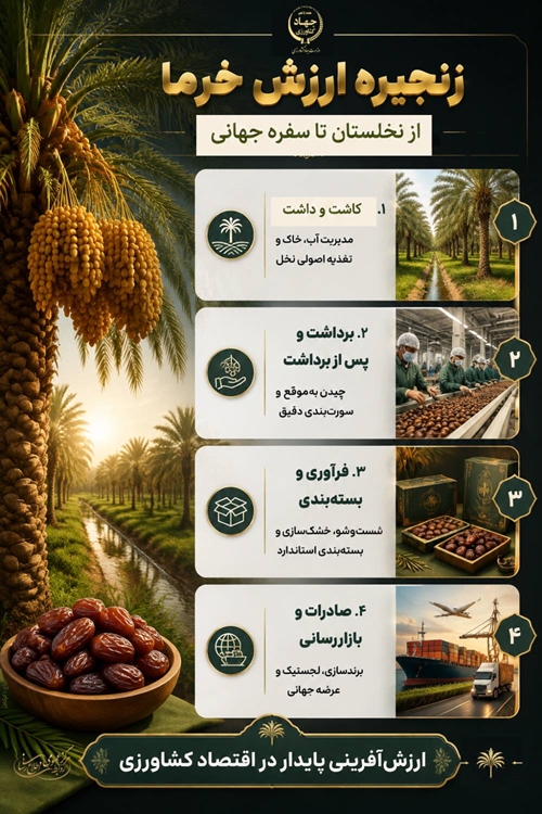 اینفو خرما 